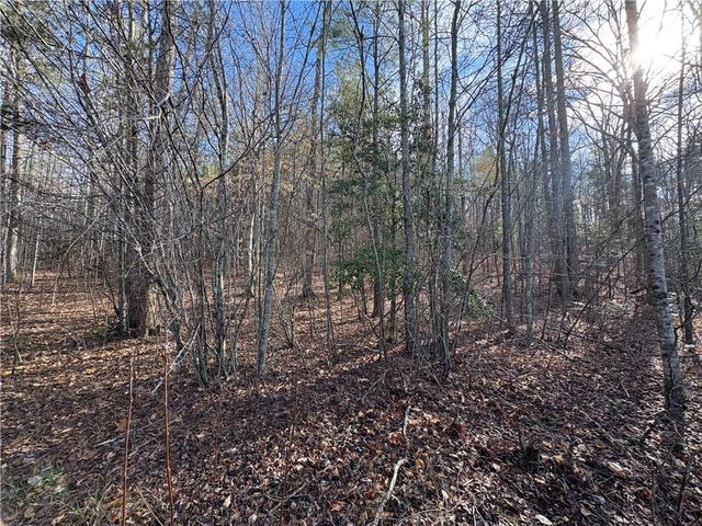 621 The Bear Boulevard, Tamassee, SC 29686