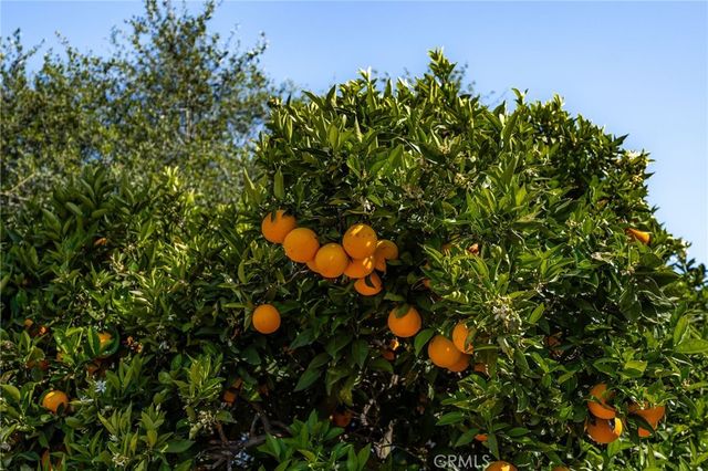 2465 Via Oeste Drive, Fallbrook, CA 92028