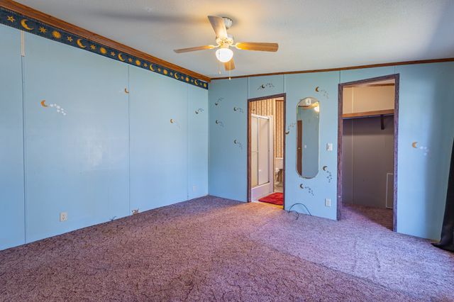 228 Shasteen Ridge Rd, Lynchburg, TN 37352