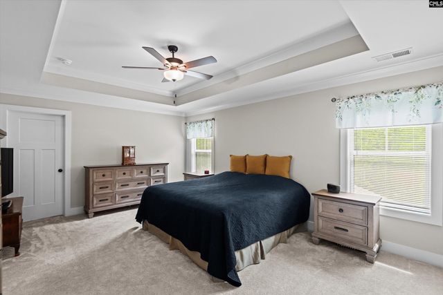 191 Collins Cove Drive, Chapin, SC 29036