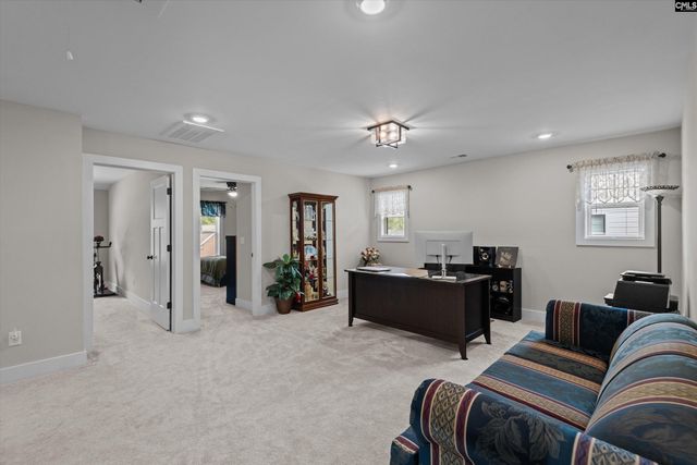 191 Collins Cove Drive, Chapin, SC 29036
