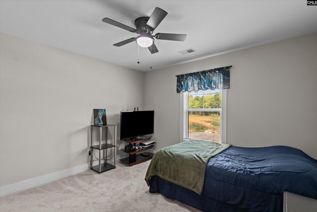 191 Collins Cove Drive, Chapin, SC 29036