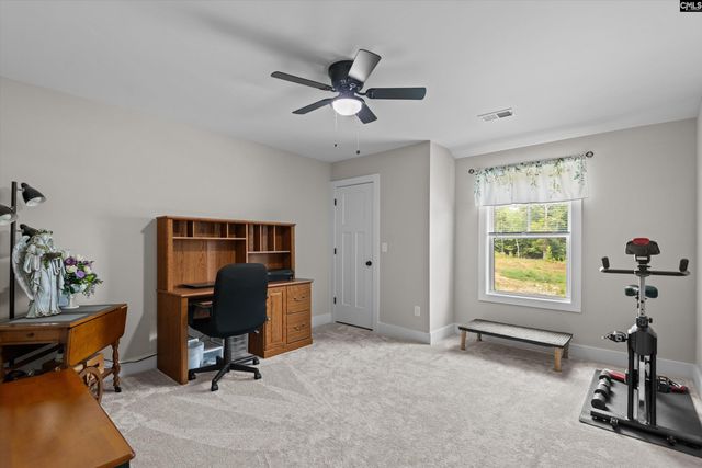 191 Collins Cove Drive, Chapin, SC 29036