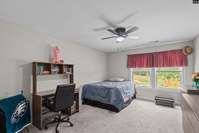 191 Collins Cove Drive, Chapin, SC 29036