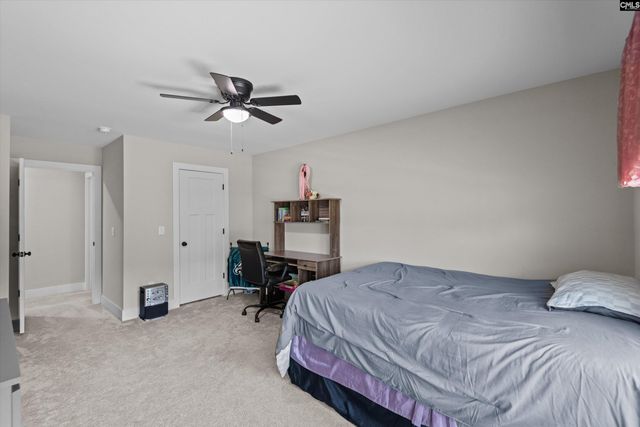 191 Collins Cove Drive, Chapin, SC 29036