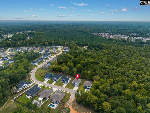 191 Collins Cove Drive, Chapin, SC 29036