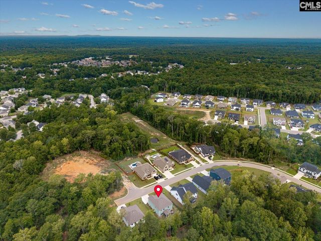 191 Collins Cove Drive, Chapin, SC 29036