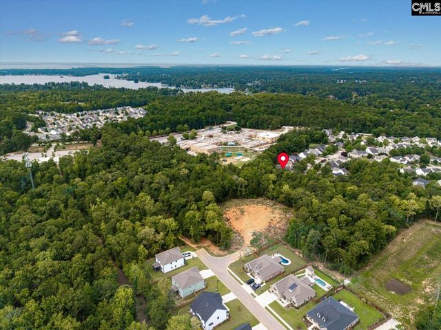 191 Collins Cove Drive, Chapin, SC 29036