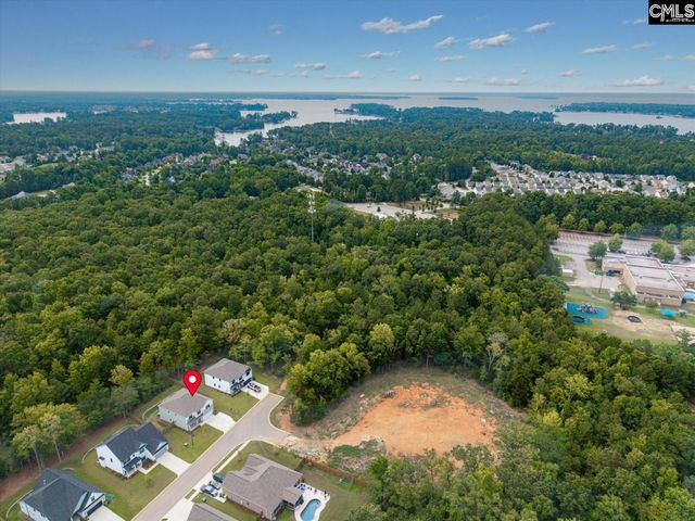 191 Collins Cove Drive, Chapin, SC 29036