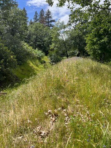3085 Texerna Ct, Placerville, CA 95667