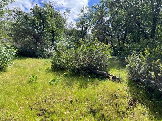 3085 Texerna Ct, Placerville, CA 95667
