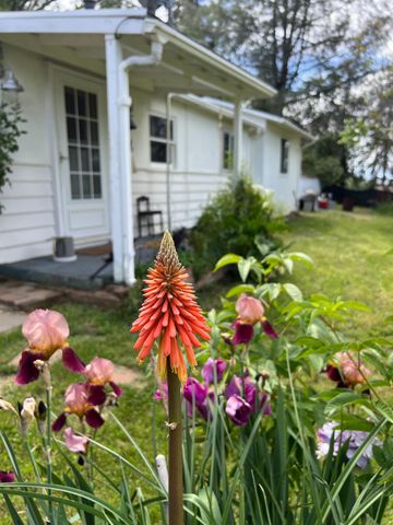 3085 Texerna Ct, Placerville, CA 95667