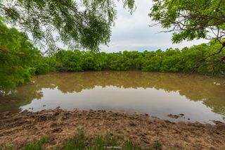 TBD FM 3116, Anson, TX 79501
