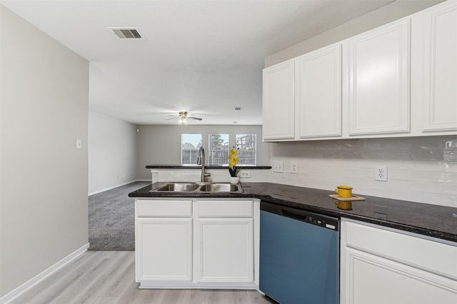 20214 Ricewood Village Trail, Katy, TX 77449