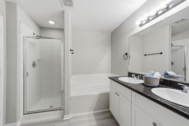 20214 Ricewood Village Trail, Katy, TX 77449