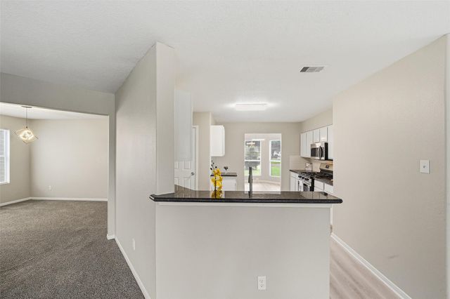 20214 Ricewood Village Trail, Katy, TX 77449