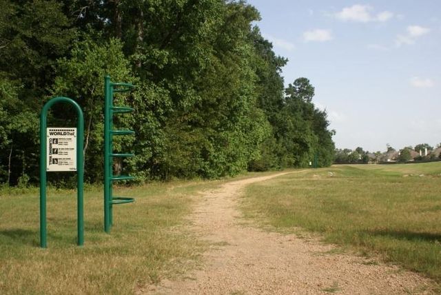 2335 Morgan Ridge Lane, Spring, TX 77386