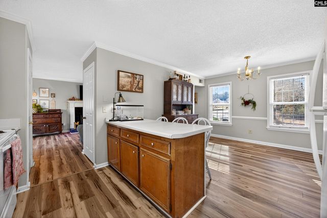 204 Sparrow Point Court, Lexington, SC 29073