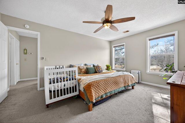 204 Sparrow Point Court, Lexington, SC 29073