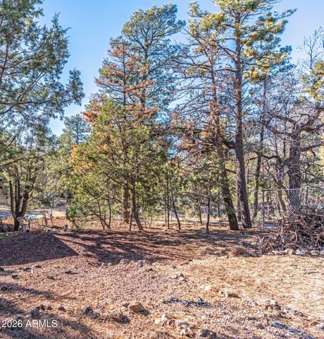 3630 Rainbow Lake Drive, Lakeside, AZ 85929