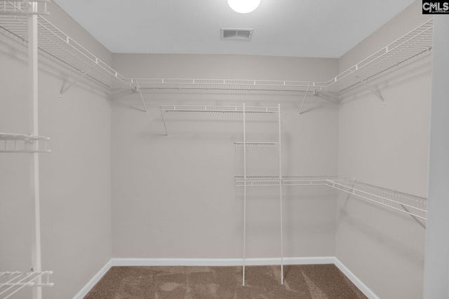 407 Ivy Green Lane, Irmo, SC 29063