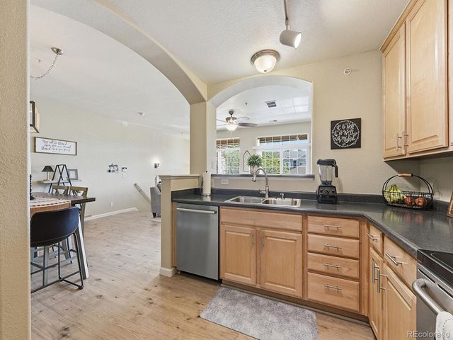 431 Black Feather Loop 810, Castle Rock, CO 80104