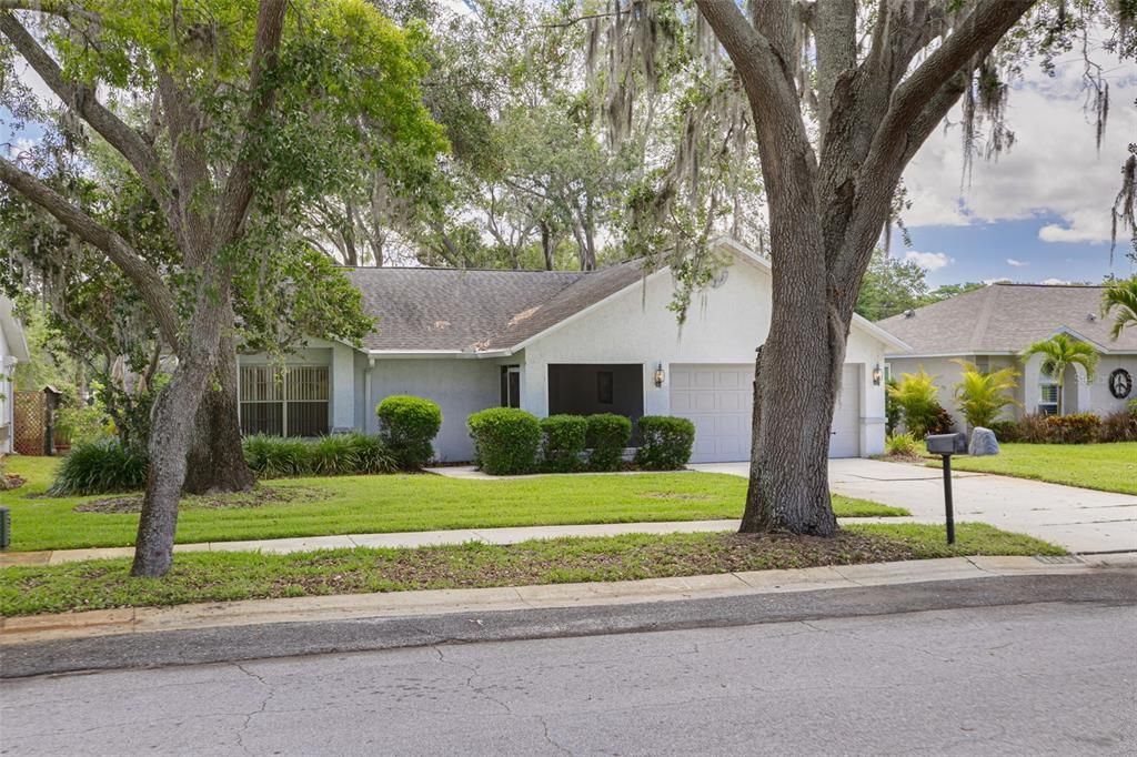 3569 OAK LAKE DRIVE, Palm Harbor, FL 34684
