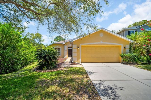 12415 RUSTIC VIEW COURT, Tampa, FL 33635