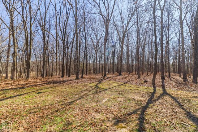 4223 County Road 318, Jonesboro, AR 72401