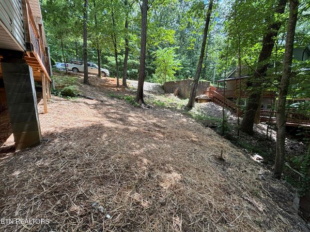 1015 Ruff Grouse Way, Seymour, TN 37865
