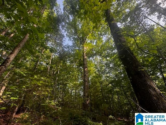 63445 HIGHWAY 22, Roanoke, AL 36274