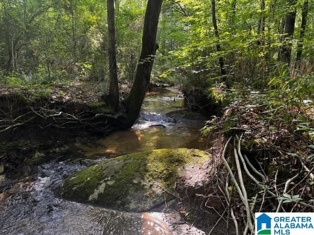 63445 HIGHWAY 22, Roanoke, AL 36274