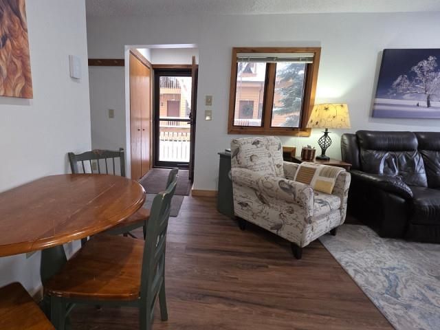 6658 Schuss Mountain Lane, Custer Twp, MI 49659