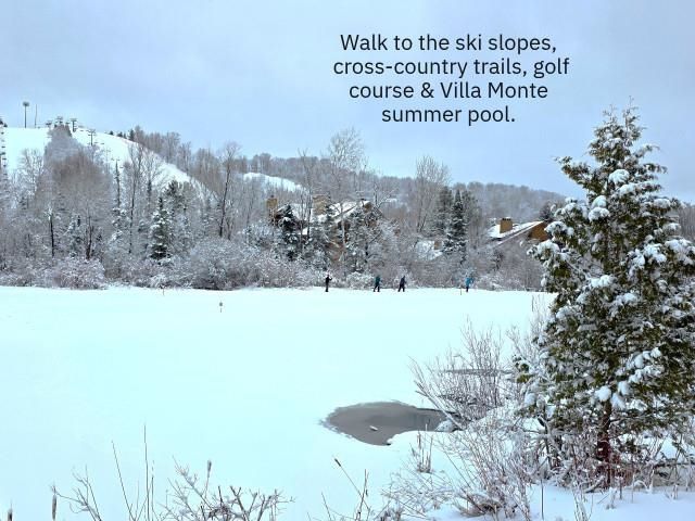 6658 Schuss Mountain Lane, Custer Twp, MI 49659