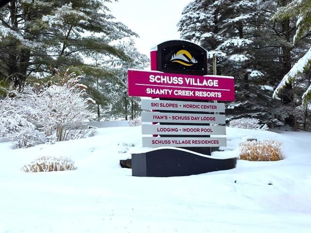 6658 Schuss Mountain Lane, Custer Twp, MI 49659