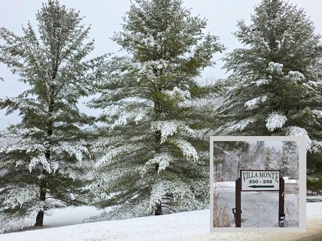 6658 Schuss Mountain Lane, Custer Twp, MI 49659