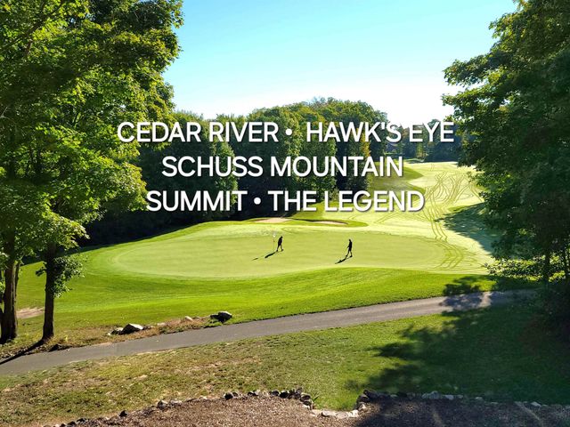 6658 Schuss Mountain Lane, Custer Twp, MI 49659