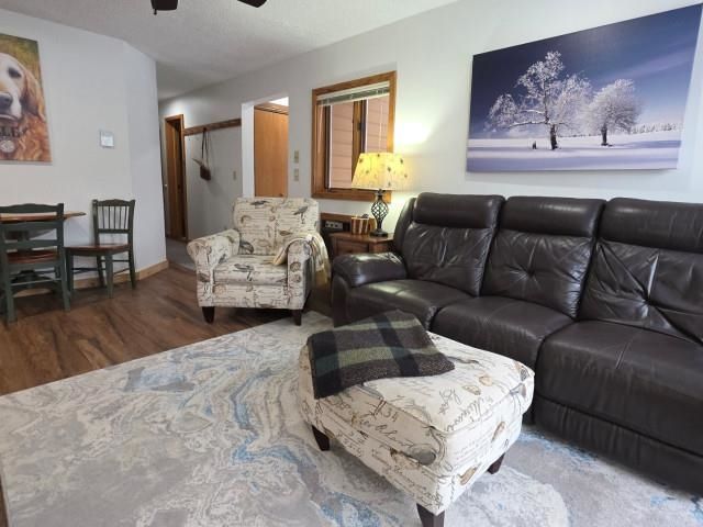 6658 Schuss Mountain Lane, Custer Twp, MI 49659