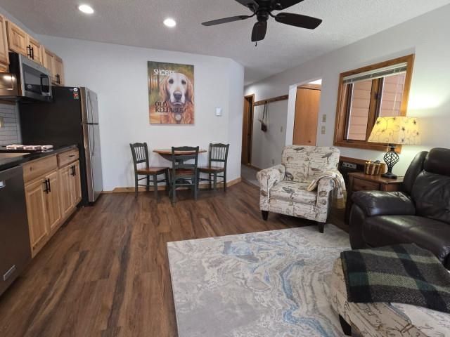 6658 Schuss Mountain Lane, Custer Twp, MI 49659