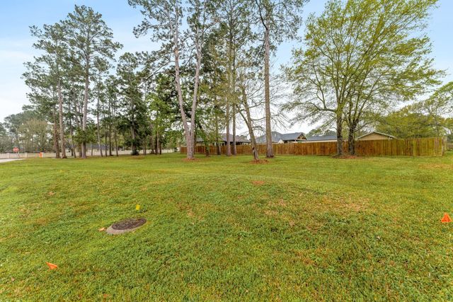 13083 Point Aquarius Boulevard, Willis, TX 77318