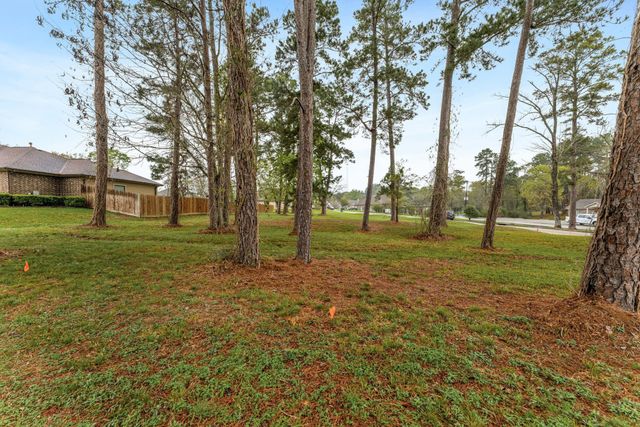 13083 Point Aquarius Boulevard, Willis, TX 77318