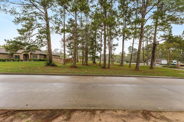 13083 Point Aquarius Boulevard, Willis, TX 77318