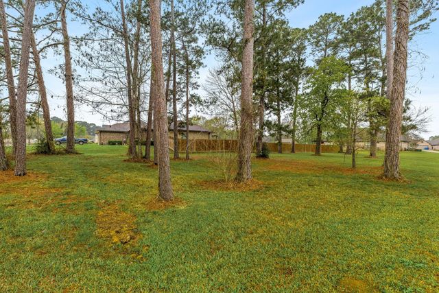 13083 Point Aquarius Boulevard, Willis, TX 77318