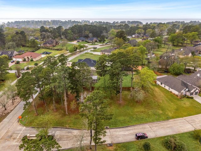 13083 Point Aquarius Boulevard, Willis, TX 77318