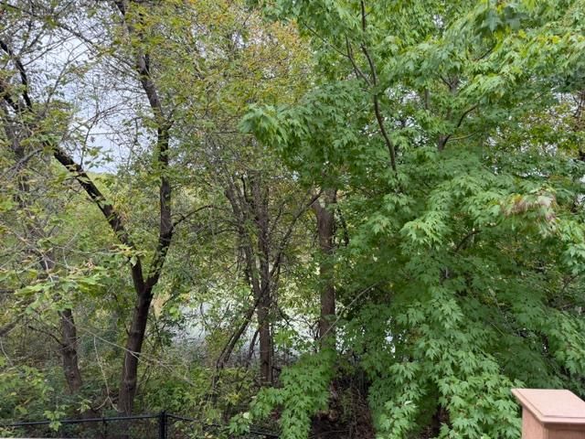 15581 Iodine Street NW, Ramsey, MN 55303