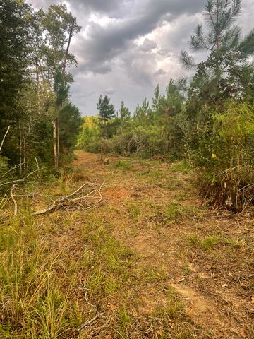 3564 Midway Loop E, Livingston, TX 77351