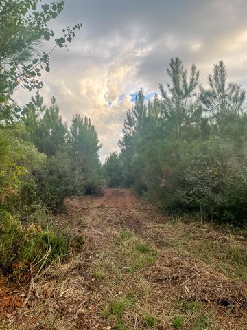 3564 Midway Loop E, Livingston, TX 77351