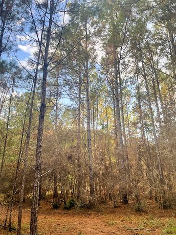 3564 Midway Loop E, Livingston, TX 77351