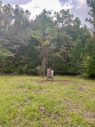 3564 Midway Loop E, Livingston, TX 77351