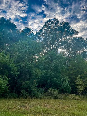 3564 Midway Loop E, Livingston, TX 77351